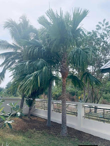5 Bedroom Beachfront Private Pool Villa for Sale in Kuiburi