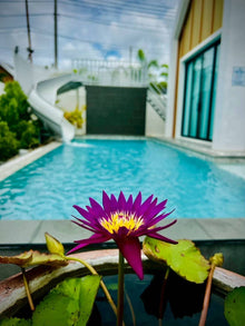 Modern 3-Bedroom Pool Villa for Rent near Black Mountain